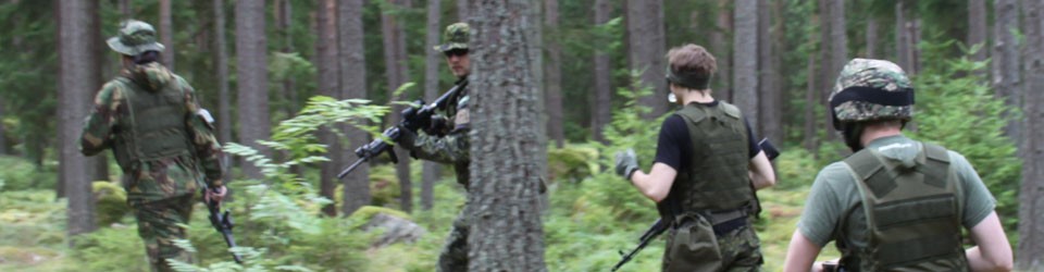 Inventering av Airsofthobbyn 2013